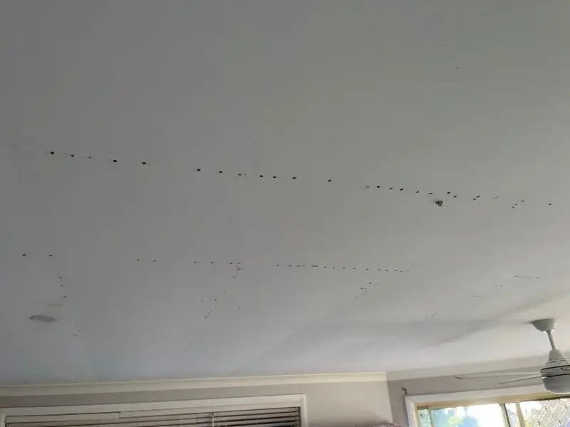 before ceiling repairs