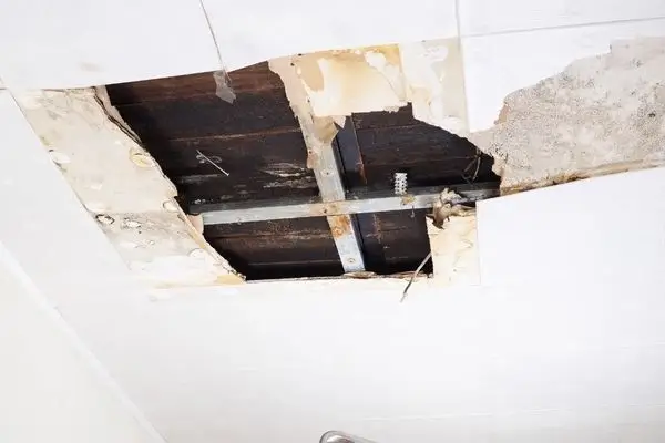 professional ceiling repairs in Brisbane